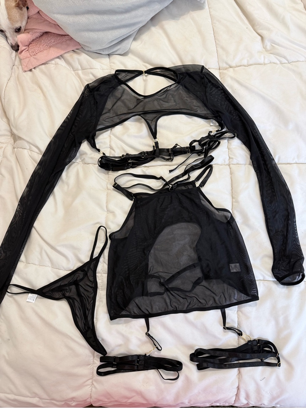 Sheer Black Mesh Lingerie Set with Strappy Harness Details